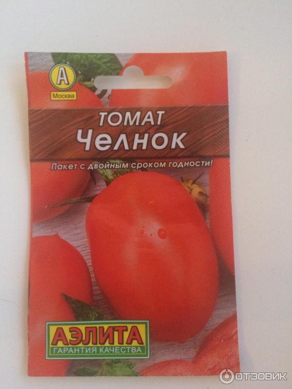 ᐉ томат "челнок": характеристика, описание, урожайность сорта, фото и видео, особенности выращивания помидор - orensad198.ru