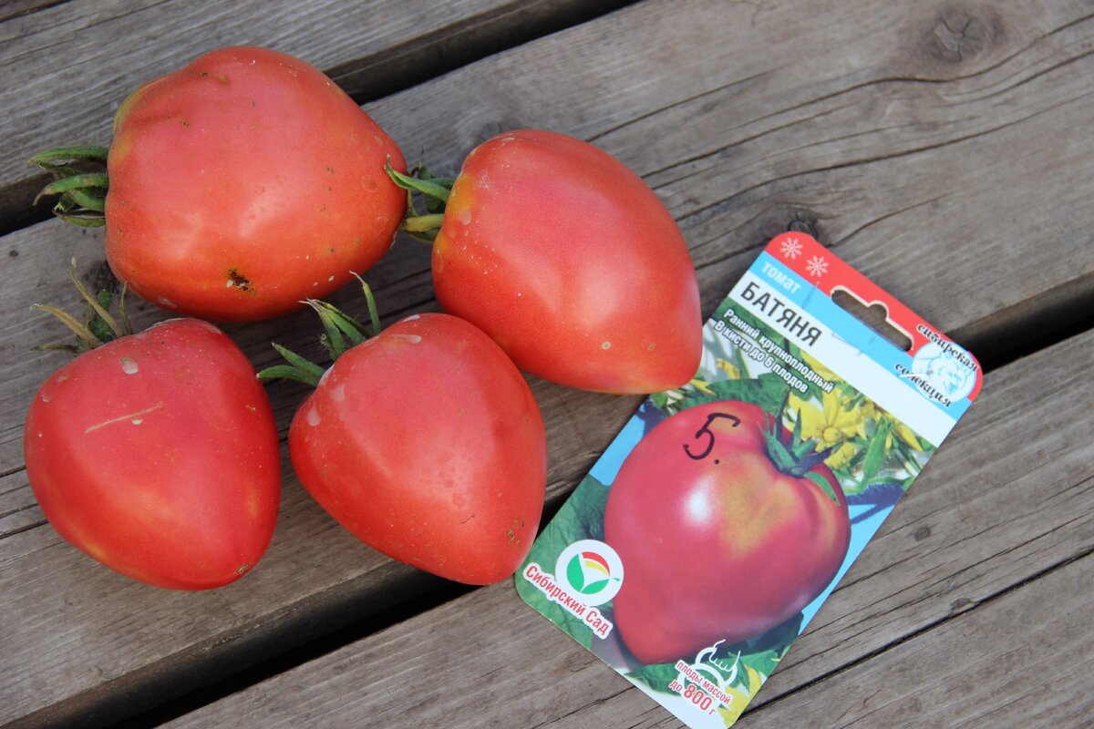 Топ-100 лучших сортов томатов для открытого грунта на любой вкус