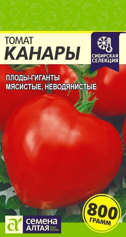 Томат канары характеристика и описание сорта - выращивание из семян!