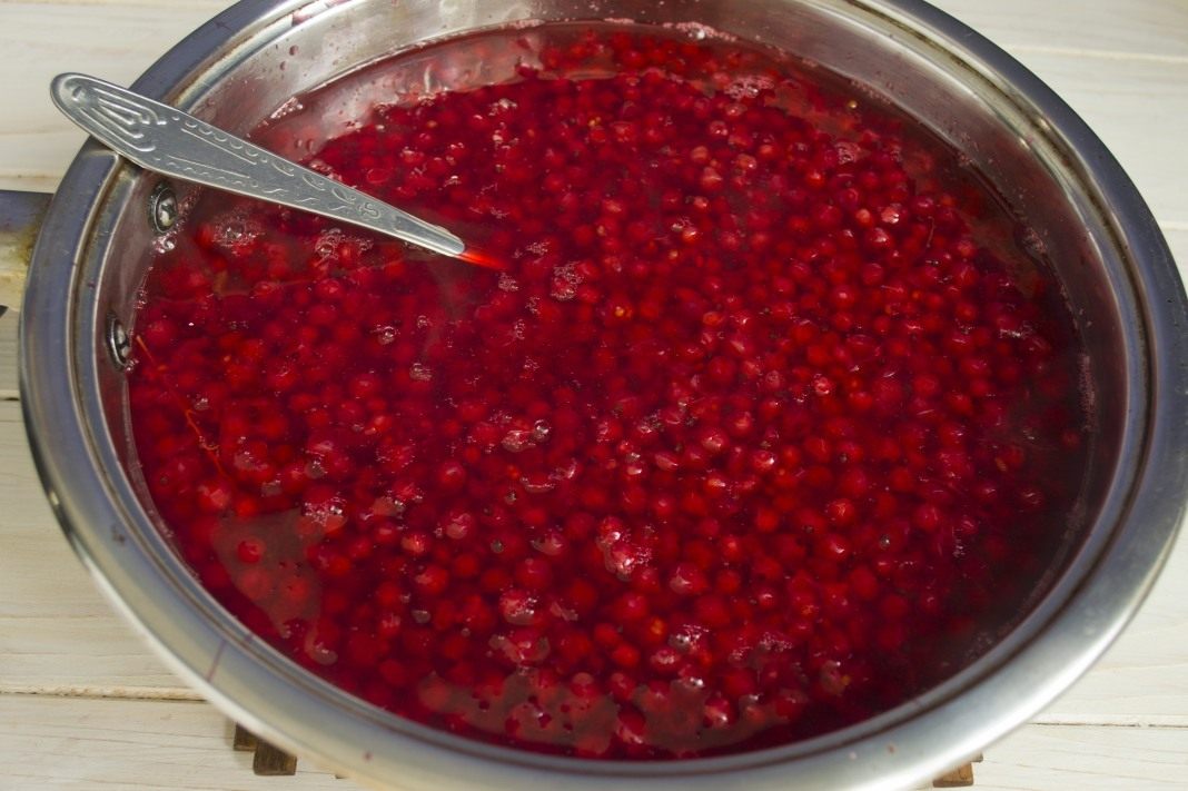 Желе из красной смородины — простой рецепт без варки (на зиму)