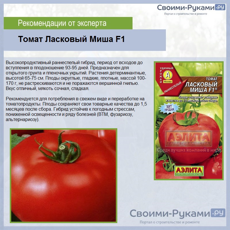 Характеристика и описание сорта томата настенька, его урожайность