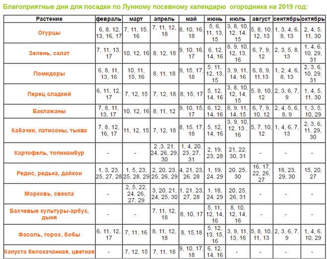 Благоприятные дни для посадки огурцов в июне 2021 года по лунному календарю, подходящие сорта и советы по выращиванию