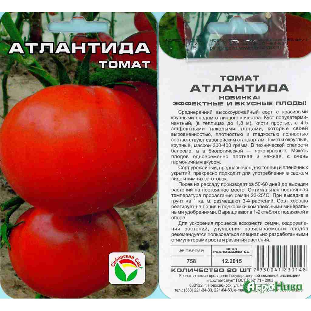 Сибирская селекция помидоров на 2020 год с описанием и фото