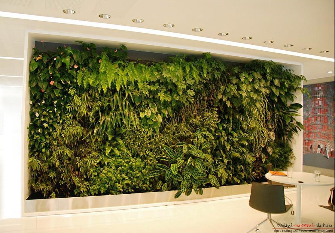 Вертикальное озеленение и другие варианты создания зелёных зон в квартире