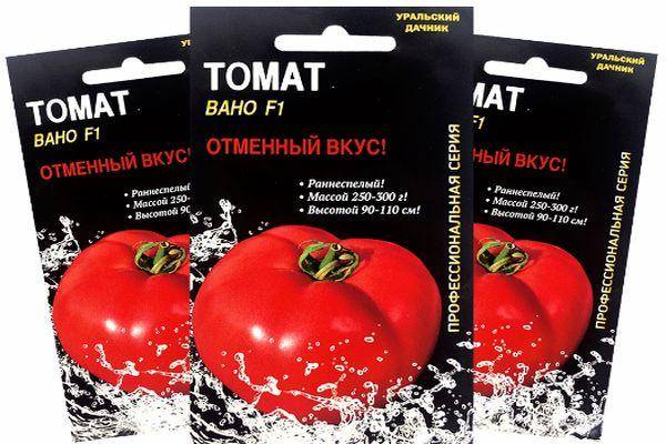 Описание крупноплодных томатов Вано, выращивание и уход за гибридным сортом