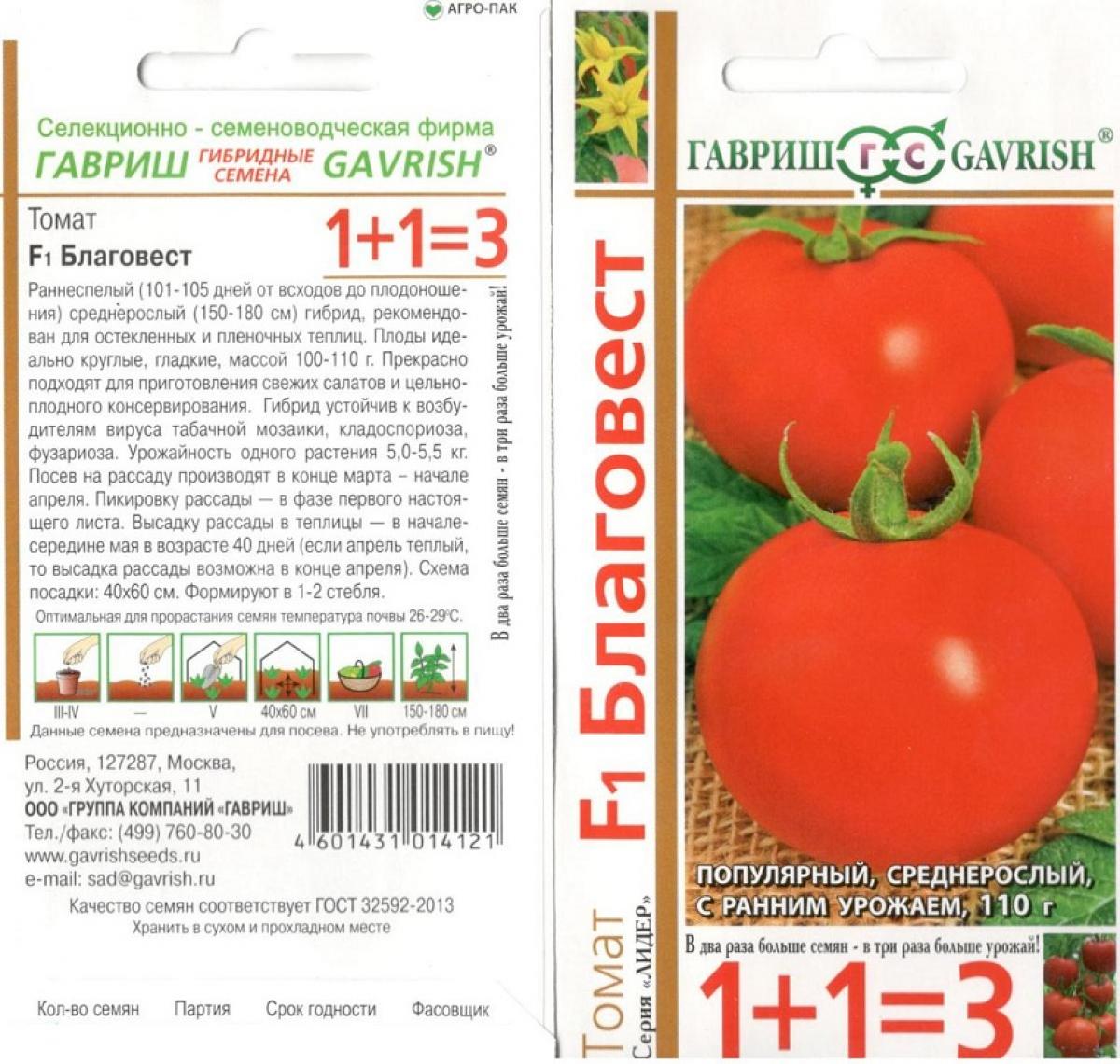 Как выращивать томаты: подробная инструкция на supersadovnik.ru