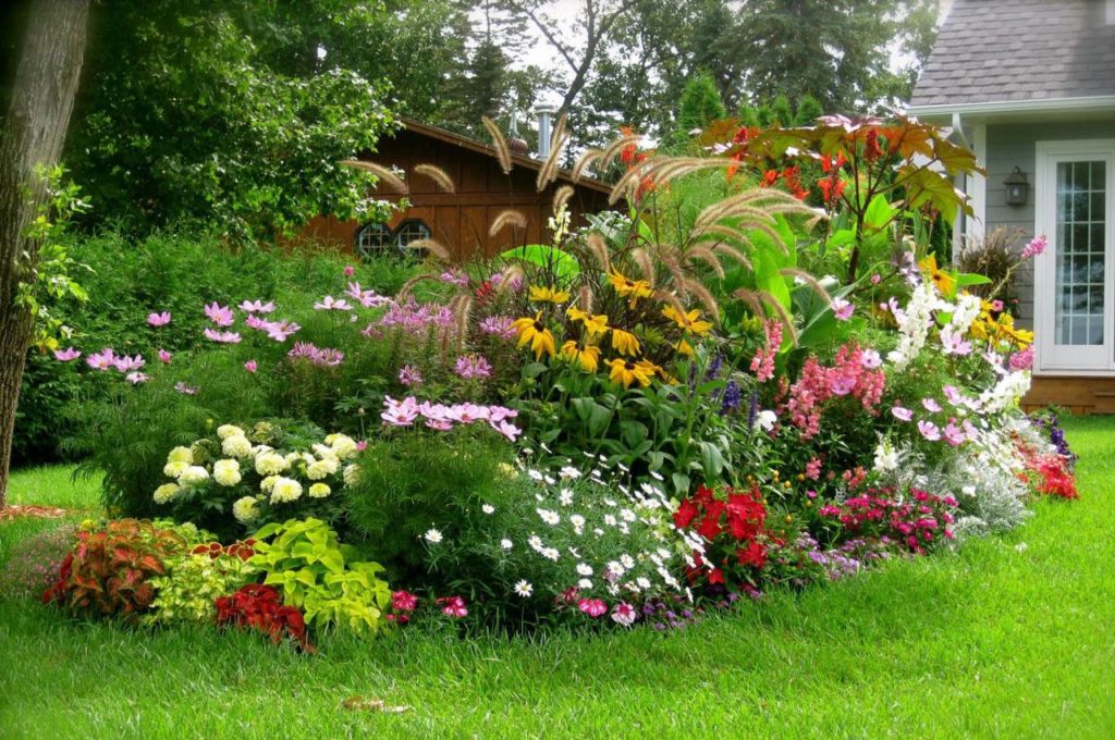 Цветы на даче: создание цветника своими руками — 75 фото - огород, сад, балкон - медиаплатформа миртесен