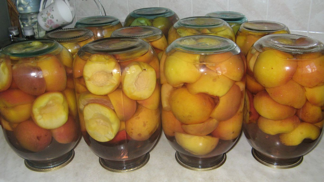 Приготовление вкусного компота из персиков на зиму – 6 лучших рецептов
