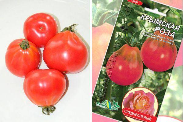 ᐉ томат "роза ветров": характеристика, описание сорта, советы по выращиванию отличного урожая помидор, фото-материалы - orensad198.ru