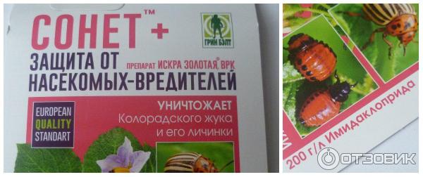 Средство от колорадского жука «сонет»: инструкция по применению, отзывы