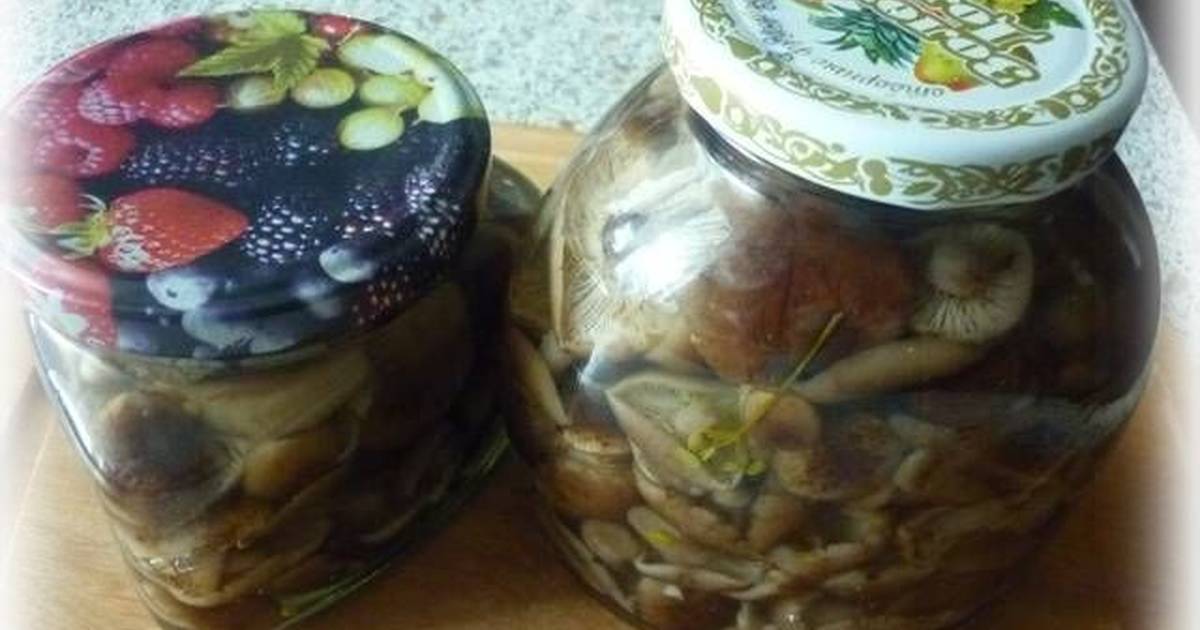 Как закрыть вареные грибы на зиму. консервирование грибов на зиму в банках: подготовка и стерилизация. как консервировать грибы в домашних условиях