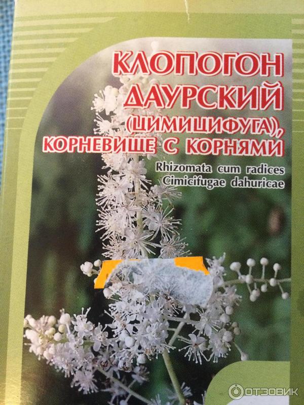 Выращивание кистевидного клопогона в открытом грунте: виды, посадка и уход, фото