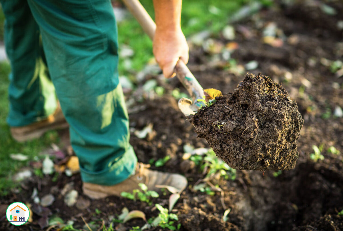 Удобрение перегноем: что это такое, когда лучше вносить в почву - осенью или весной?