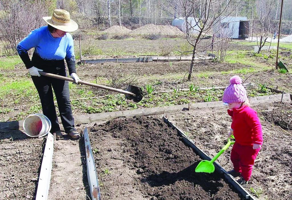 Картинки весенних работ на огороде