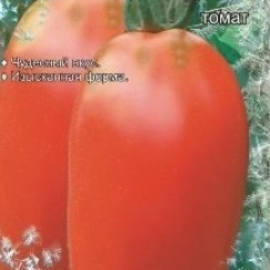 Томат малиновая рапсодия: характеристика сорта, урожайность с фото