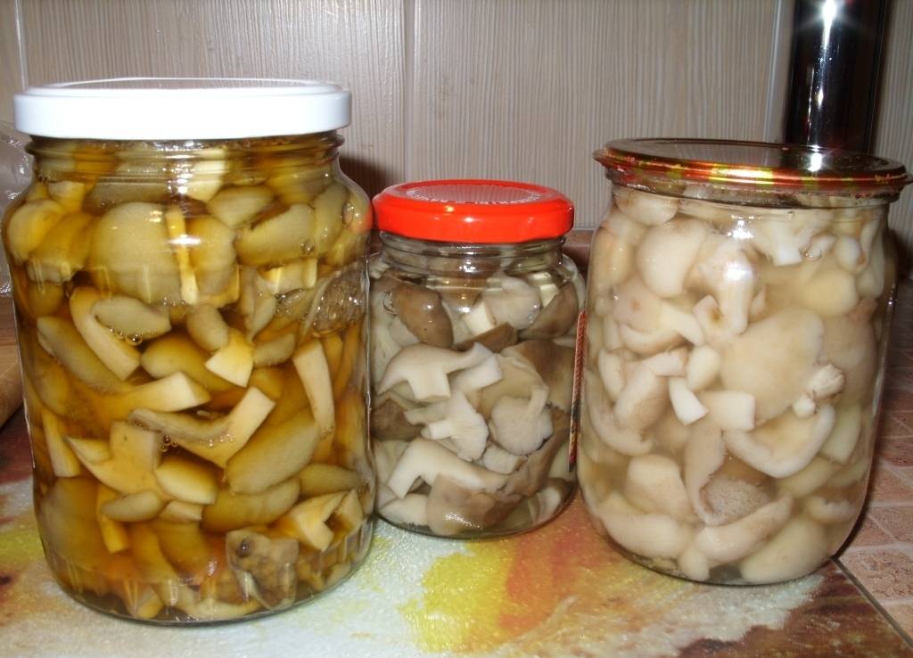 Вкусные грибы, маринованные на зиму с уксусом и без: надежные рецепты приготовления без стерилизации