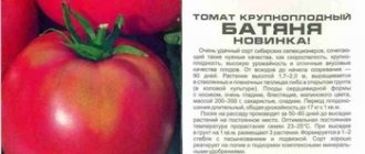 Томат "фунтик f1": фото с описанием сорта, характеристика и урожайность русский фермер
