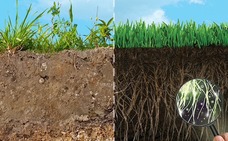 Плодородие почвы: определение и повышение уровня
