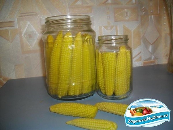 Консервированная кукуруза — заготовки по рецептам в домашних условиях