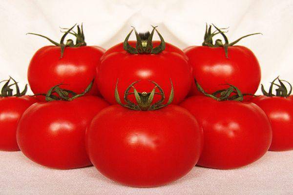 Отличный сорт для новичков и фермеров — томат динка f1 : характеристика и описание сорта, фото