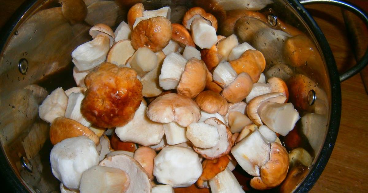 Белые грибы на зиму – простые рецепты домашней заготовки грибов