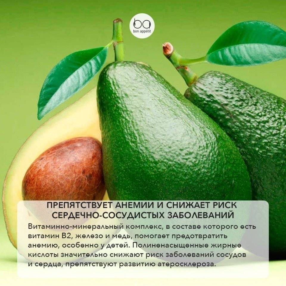 Авокадо польза и вред для организма как выбрать спелый