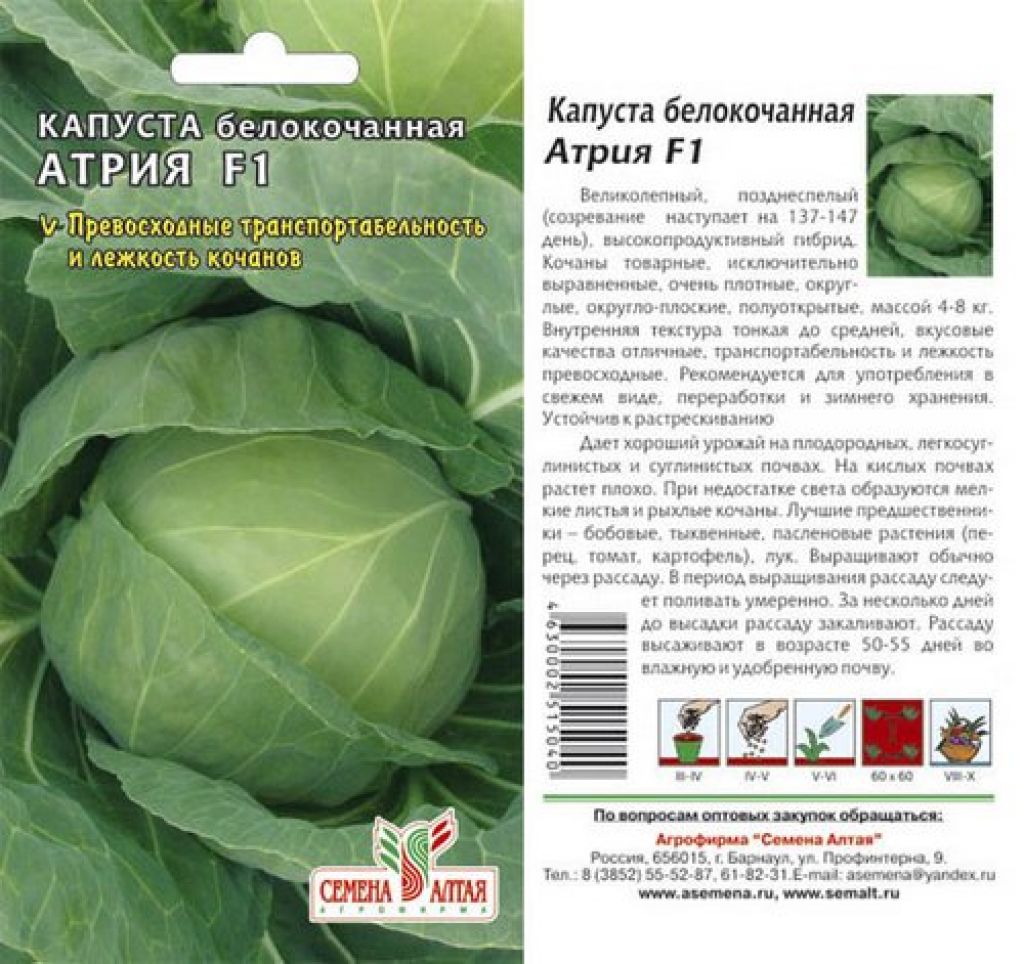 Капуста центурион f1: описание сорта, выращивание и уход с фото