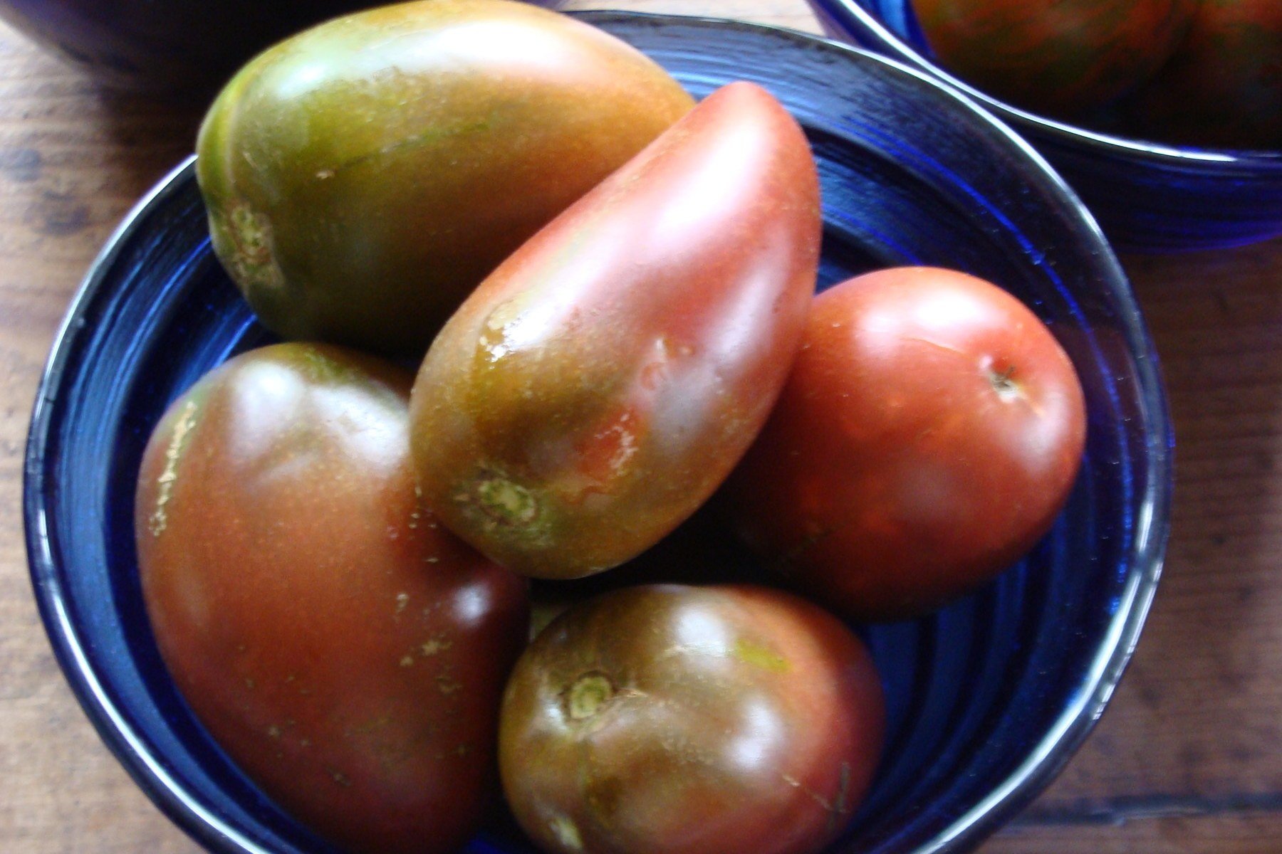 Сорт помидоров дачник: описание раннего сорта томатов, посадка и уход, правила выращивания, вкусовые качества, отзывы дачников и фото