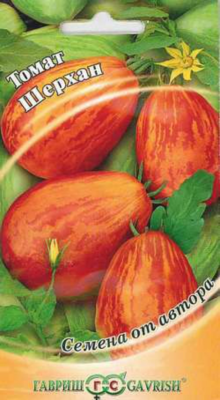 Томат "айвенго" f1: описание плодов помидоров, фото сорта, страна происхождения, урожайность, а также достоинства русский фермер