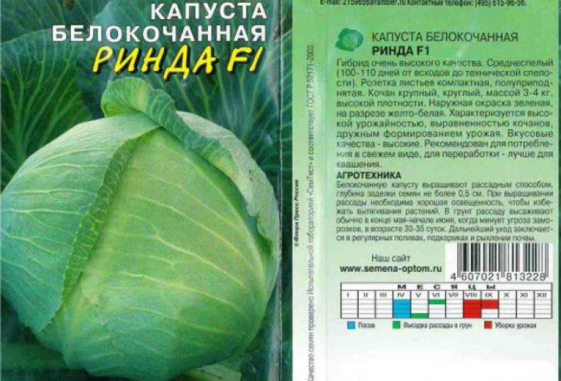 Описание белокочанной капусты Бригадир F1, выращивание и уход