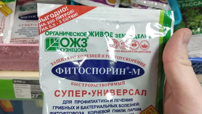 Фитоспорин-м: инструкция по применению, советы и правила использования порошка, пасты и жидкости