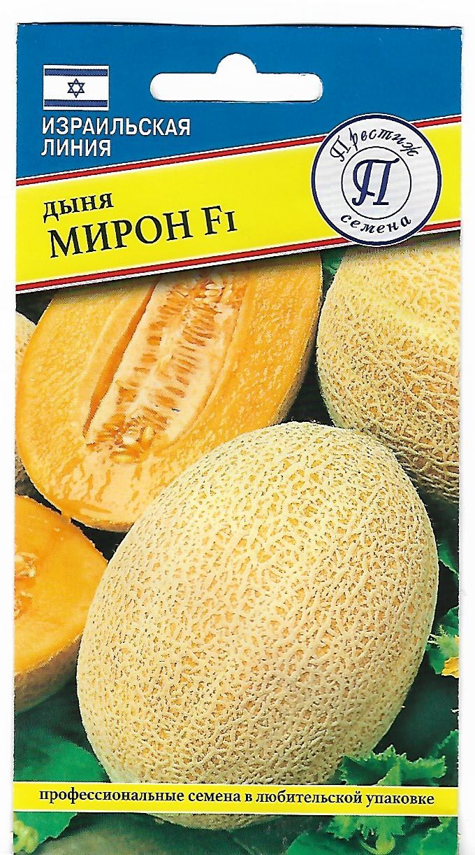 Самые лучшие сорта дыни для открытого грунта и для теплицы: подробное описание каждого сорта с фото