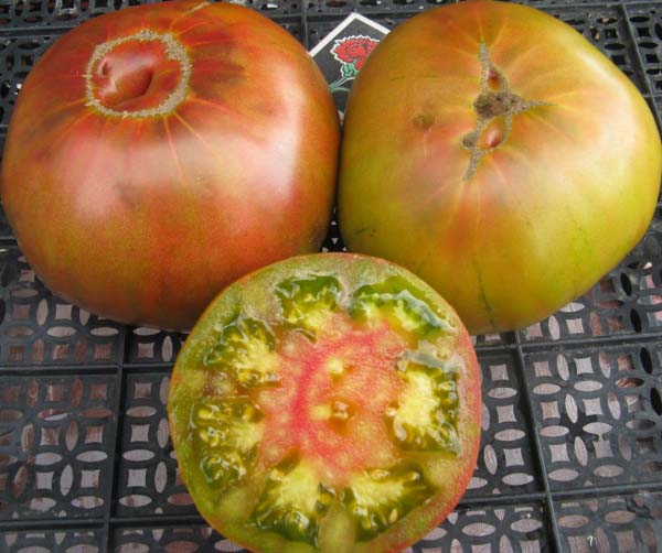 Томаты ананас: описание сорта и таких разновидностей, как черный, золотой, гавайский и бифтшекс, фото, особенности выращивания помидоров и их урожайность