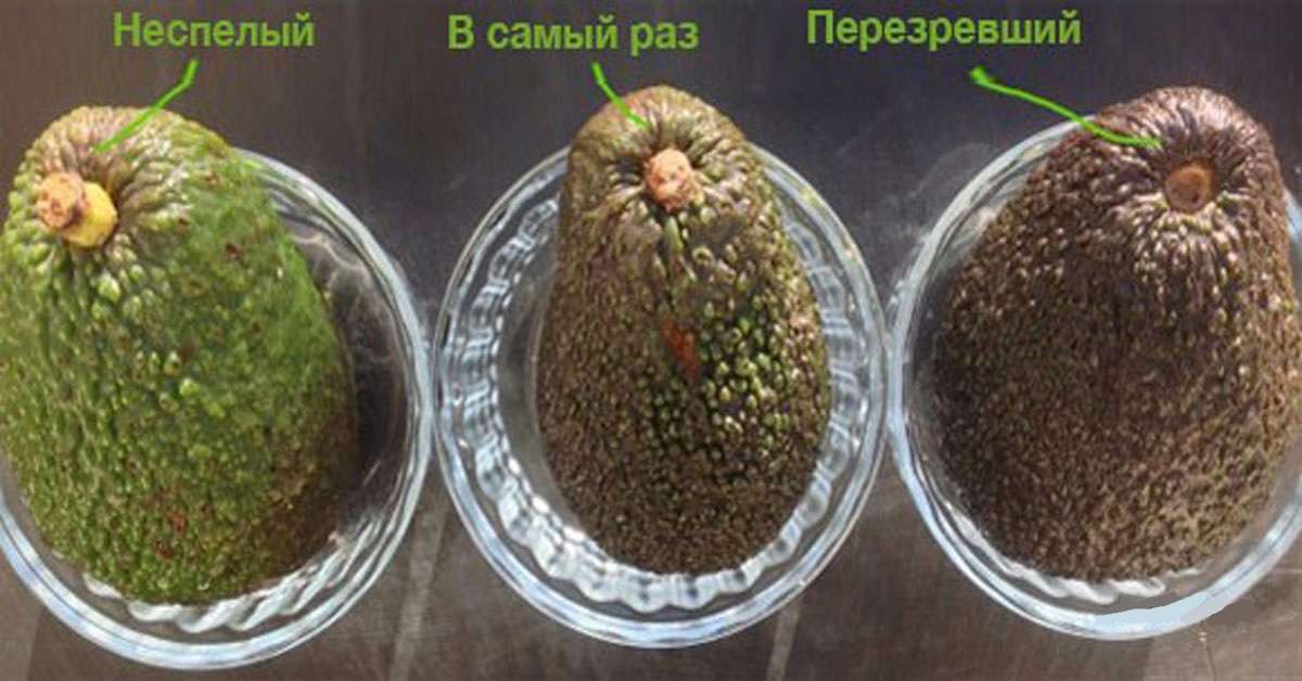 5 трюков, которые помогут авокадо дозреть быстрее