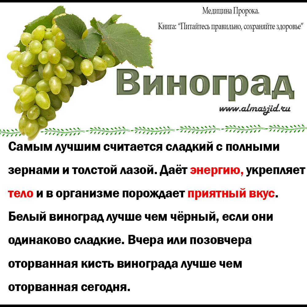 Польза и вред винограда для организма, применение и противопоказания