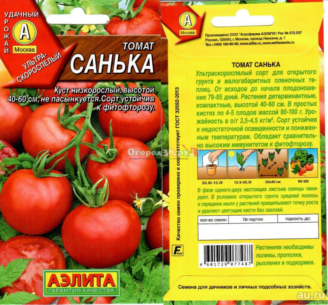 Характеристика и описание томата сорта Санька, урожайность и выращивание