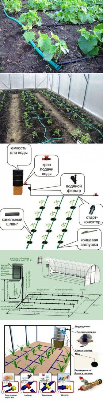 Капельный полив в теплице: как сделать своими руками, преимущества капельной системы полива, орошение из бочки и из пластиковых бутылок
