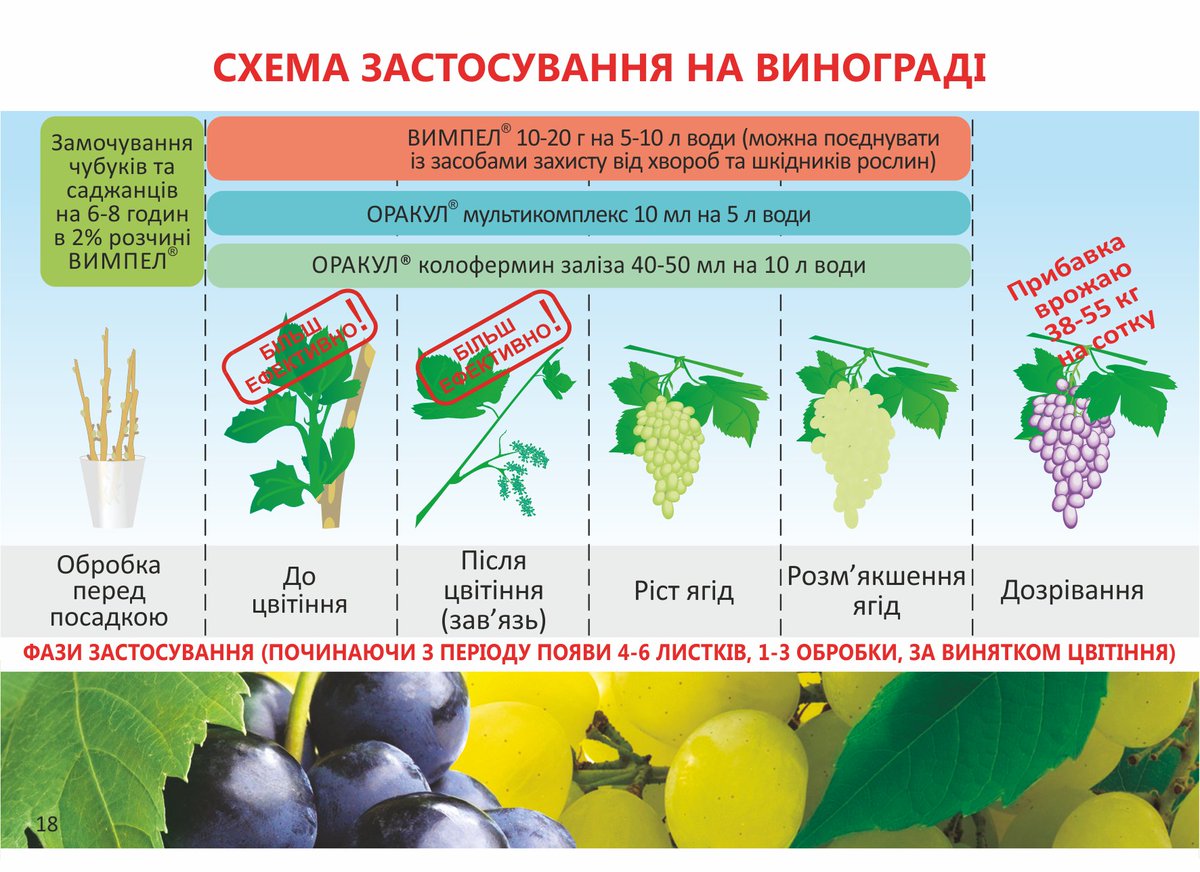 Карта обработки винограда