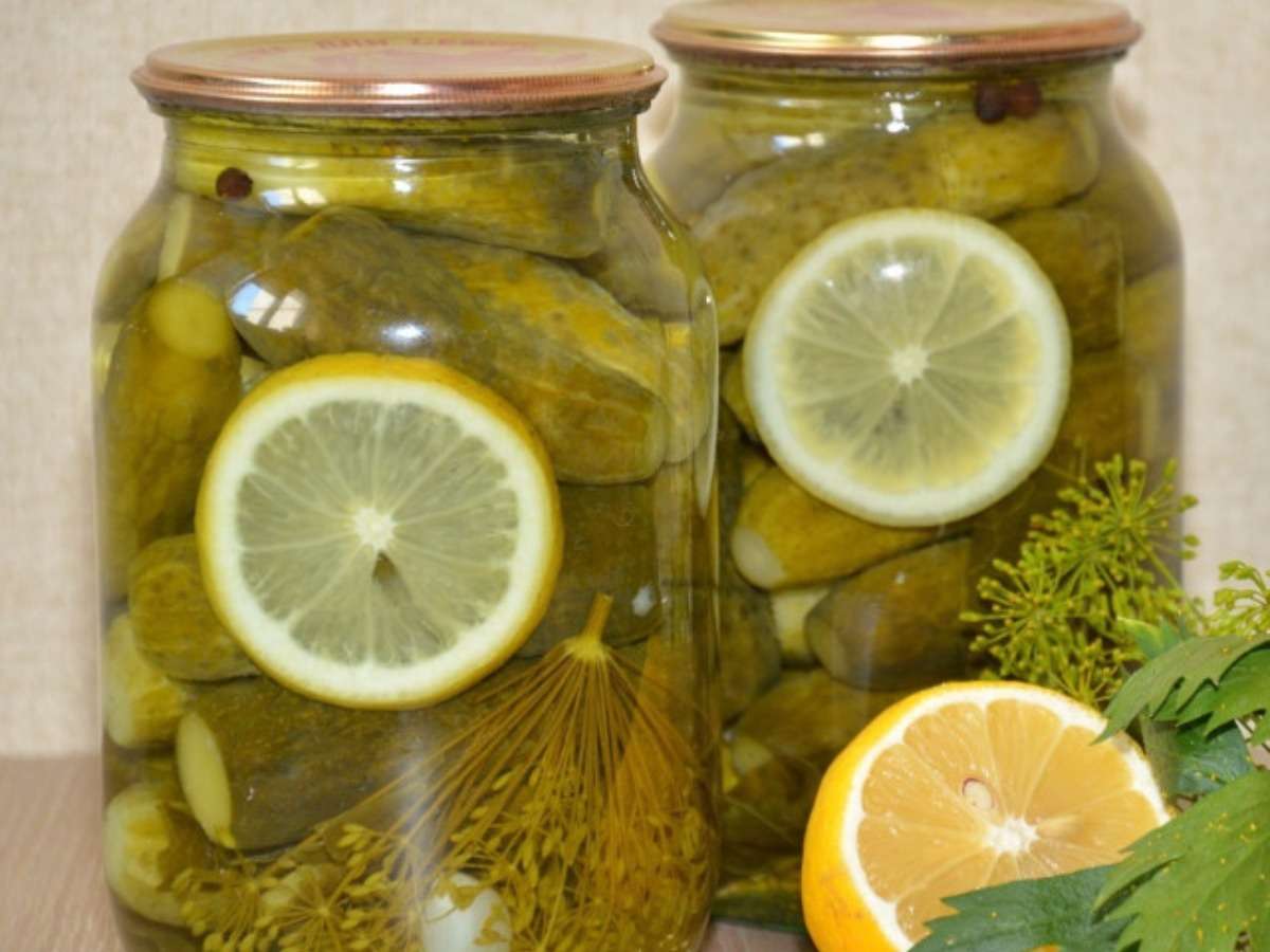 Огурцы с лимонной кислотой на зиму — пошаговый рецепт с фото