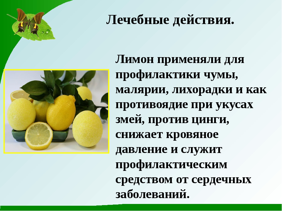 Польза и вред лимона: секреты здорового питания