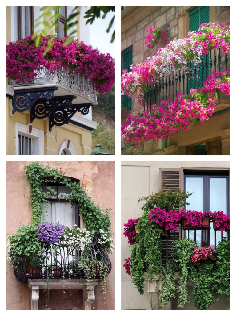 Правила и советы по декорированию балкона цветами