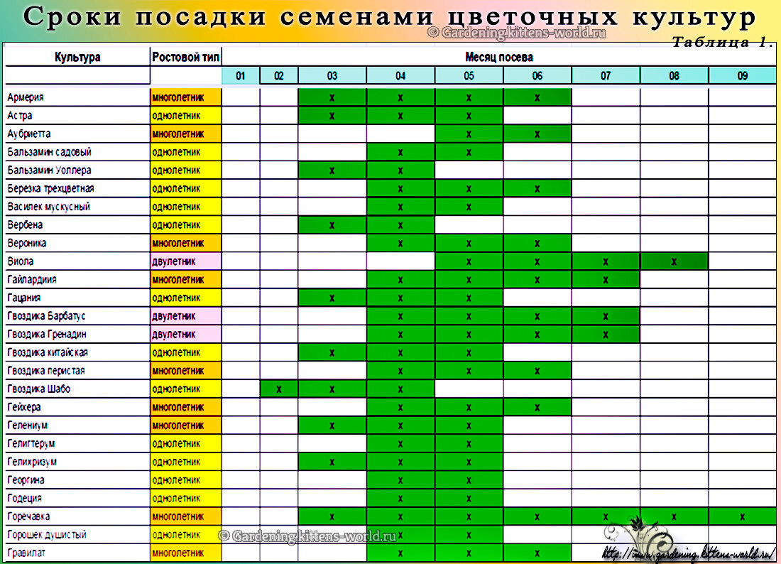 Карта цветения онлайн