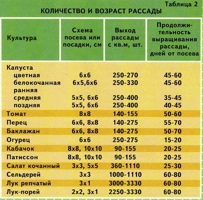 Расчет нормы высева семян овощных культур