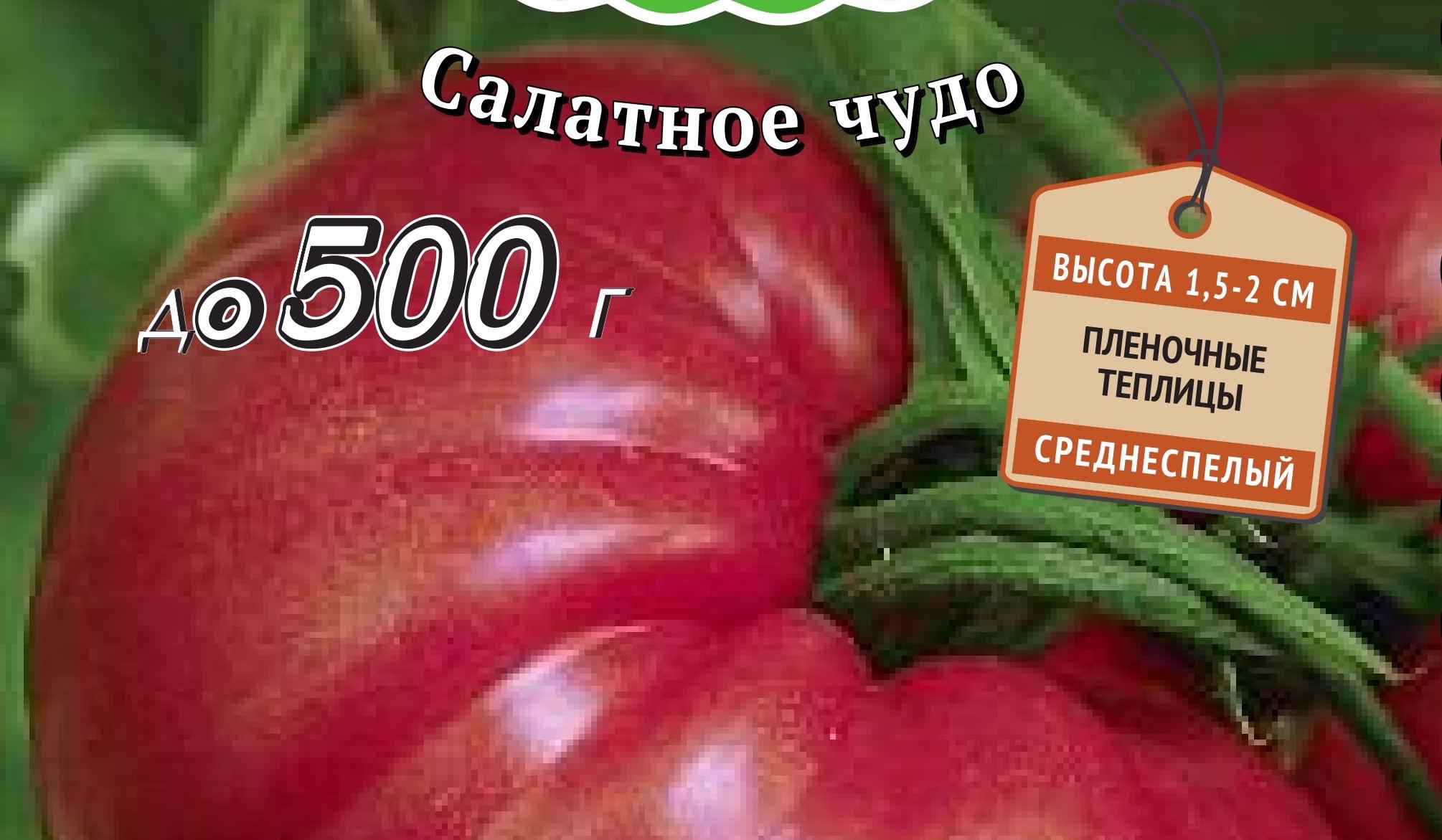 Сорта помидоров сибирской селекции для посадки в 2021 году в открытый грунт или теплицу