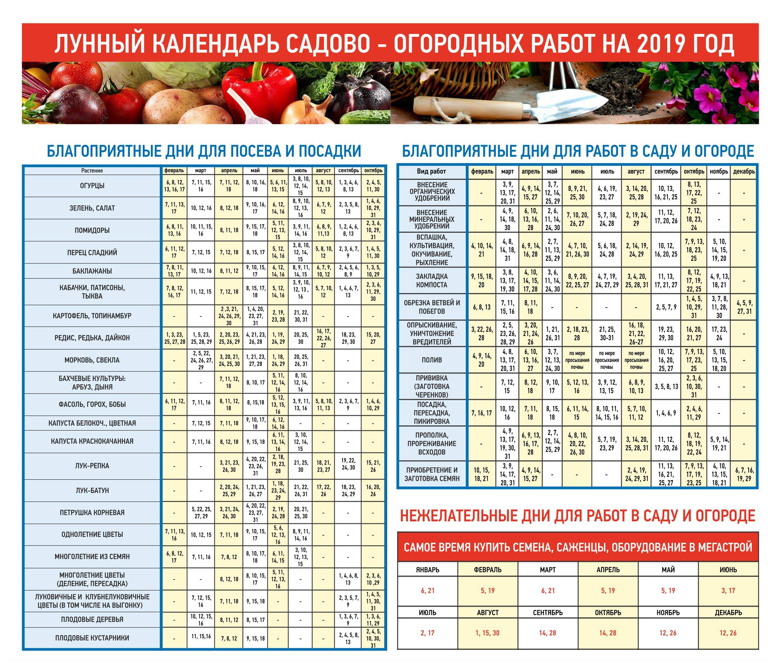 Лунный календарь огородника космос. Садовый календарь. Календарь посадки рассады. Лунный календарь посадок. График посадки овощей.