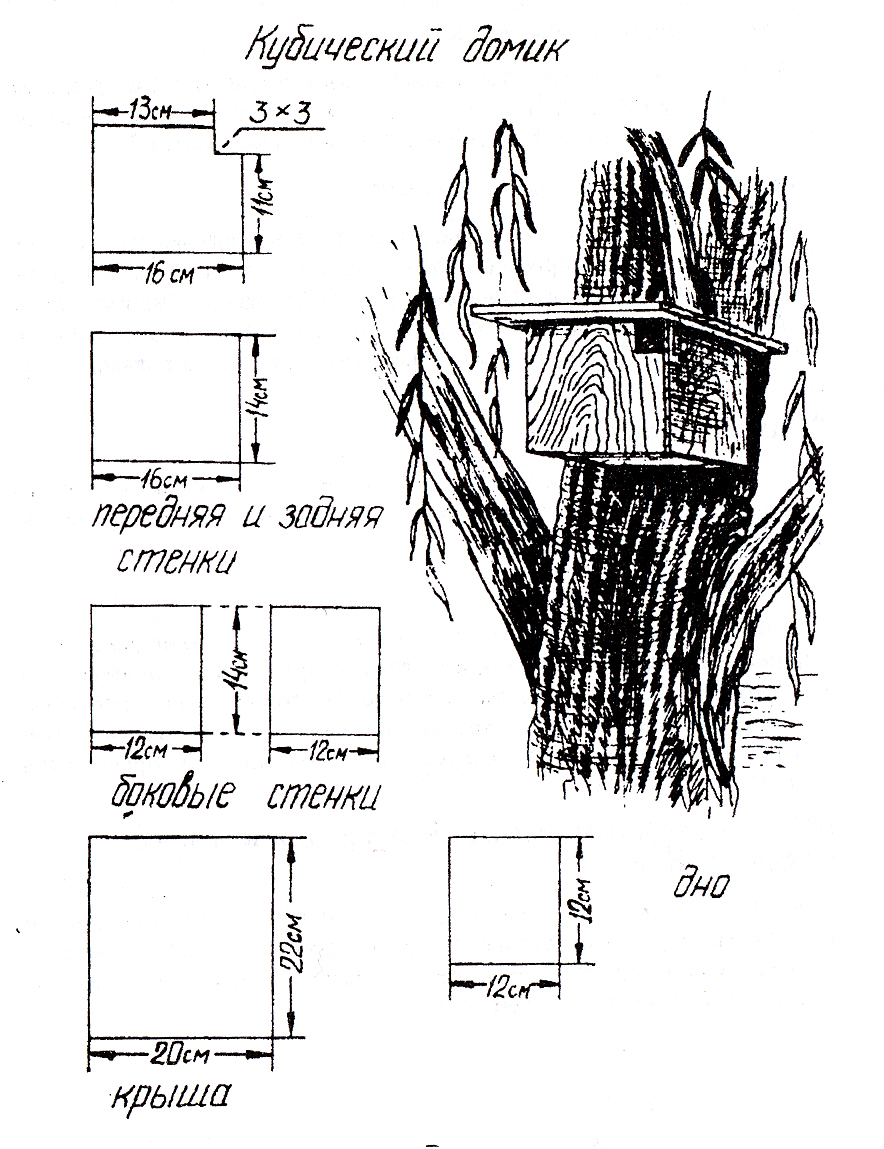 Чертеж белки. Скворечник для мухоловки чертеж. Домик для горихвостки чертеж. Чертежи и Размеры бельчатника. Скворечник для трясогузки чертеж.