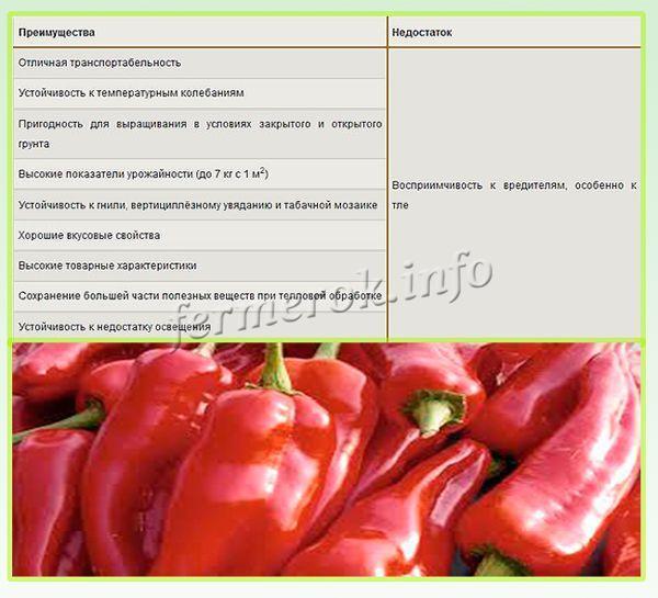 Перец сладкий сорт богатырь фото и описание