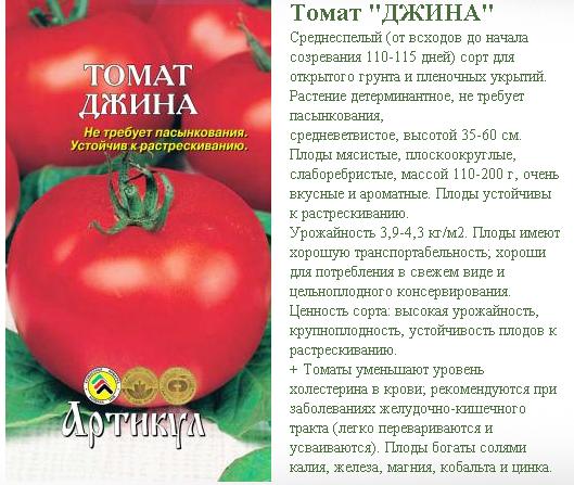 Новый гибрид завоевавший почтение многих огородников — томат сенсей: описание сорта и советы по его выращиванию
