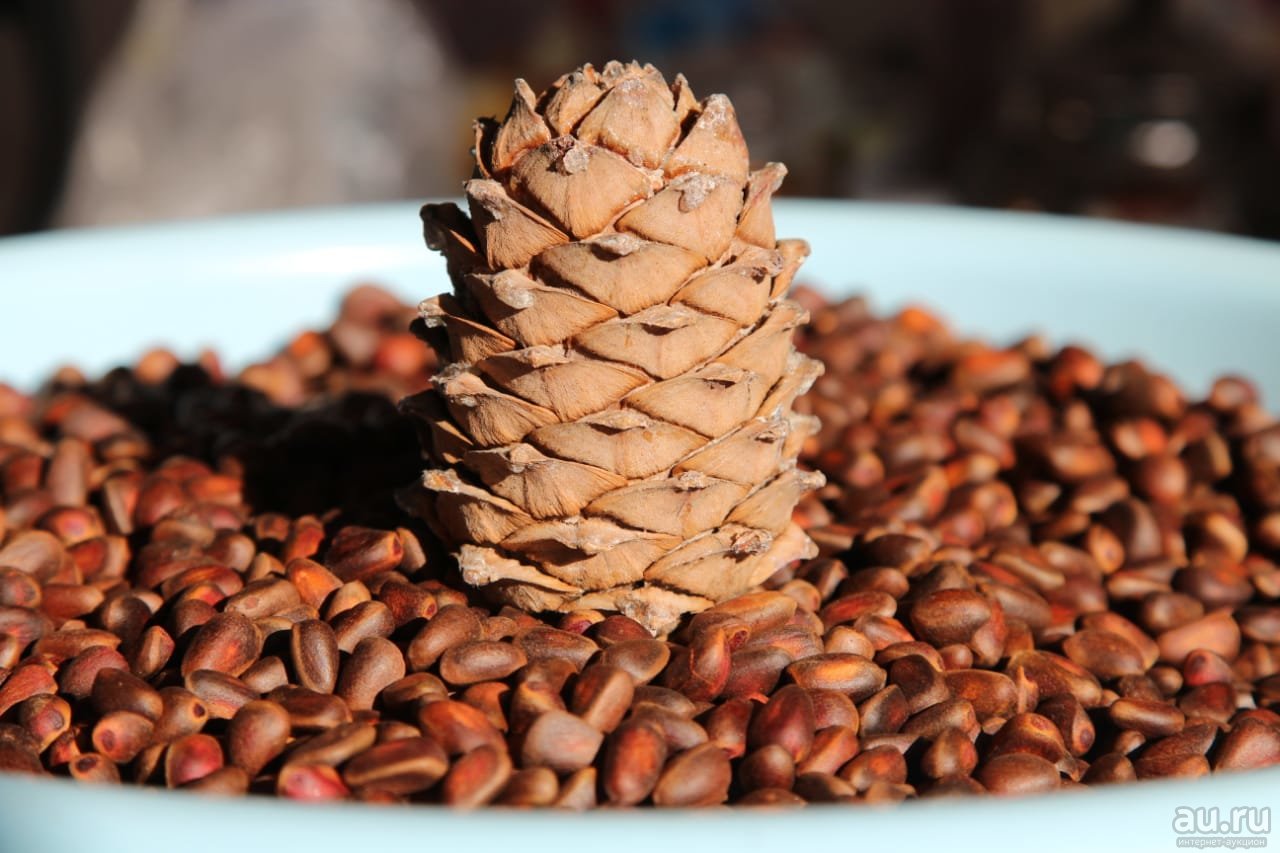 Рецепты приготовления настойки самогона на кедровых орехах: с добавками и без