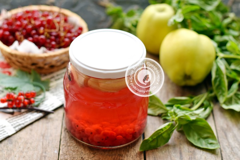 Компот из яблок и смородины на зиму: рецепты с красной и черной ягодой, из замороженных заготовок, а также правила и сроки хранения